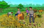 Khmer Farmers